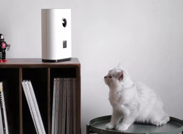 寵物用品 寵物用品
